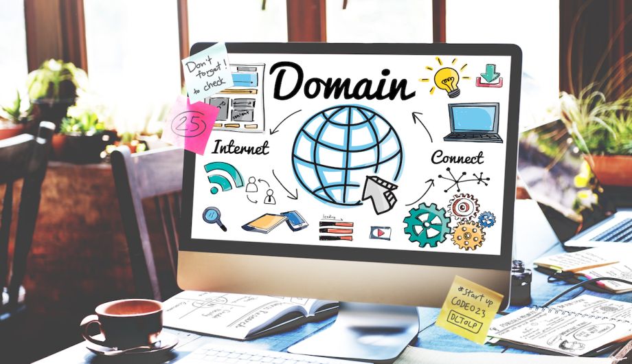 The meaning of a domain: an identification label on the web