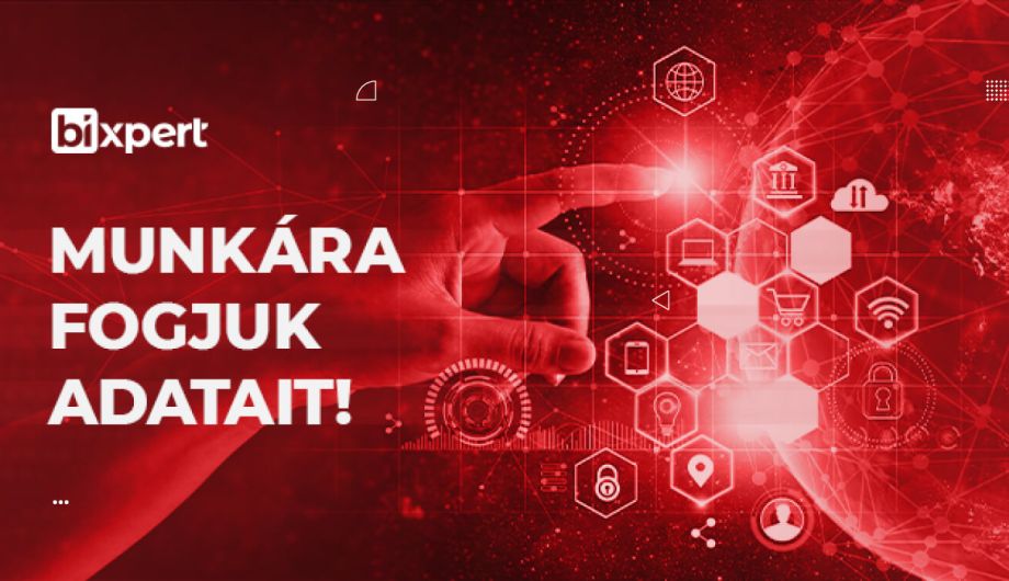 BIxpert esettanulmány